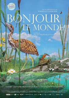 Au ciné comme les grands - Bonjour le monde !