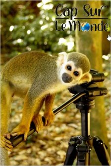 Cap sur la Guyane