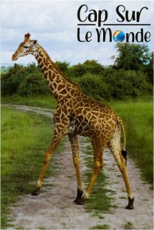 Cap sur le Rwanda